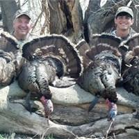 Kansas Turkey Hunt Gallery